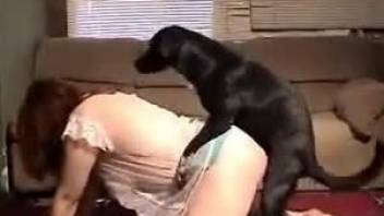 Watch Porn Image Tight women hard fucked by dogs in crazy animal porn compilation