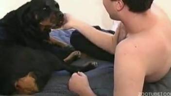 Beast enthusiast prefers screwing a canine's cunt over everything else