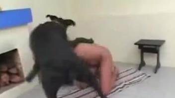 Large dog deep fucks petite brunette in brutal zoo scenes