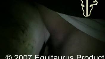 Savage bestiality with horses for an aroused guy in rut