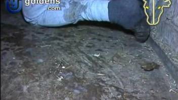 Man creampie