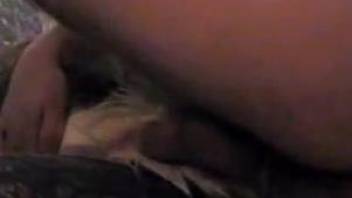 Man films himself stimulating doggy's anal hole in close-up