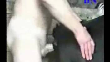 Guy ruthlessly screws a cow in the barn and ejaculates on her back