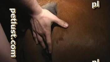Horny guy fingers and fucks obedient brown horse in darkness