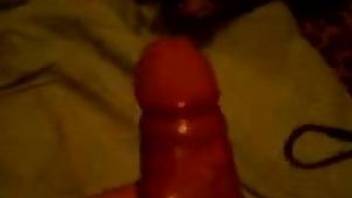 Amateur POV scene in which man thrusts penis into dog's hole