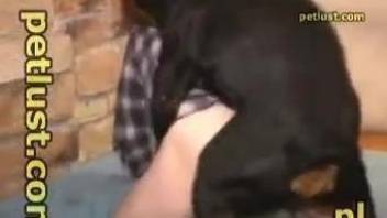 Ditty scenes of rough zoo with man enduring brutal anal with his dog