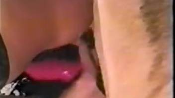Brunette in stockings gets fucked by a canine