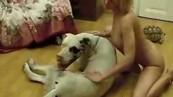 Hot blonde craves for dog cock in her pussy after a sloppy blowjob