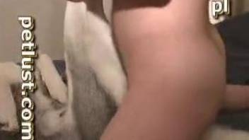 Naked buddy practices anal sex with his obedient Husky