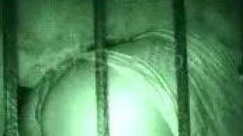 Horse owning lustful female in cell at midnight