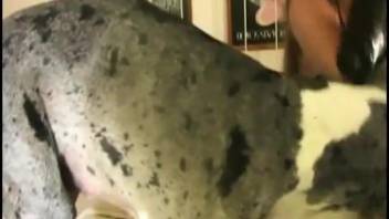 Blonde homemaker in fishnet stockings receives oral from a well-endowed canine after giving a handjob