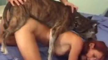 Hubby loves seeing his wife getting brutally fucked by their dog
