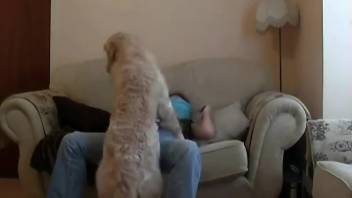 Sexy babe in torn jeans gets fucked by her large dog