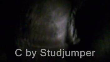 Amateur beast lover rams stiff penis into rear of dark mare