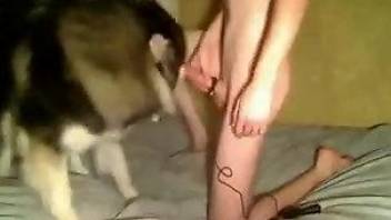 Aroused boy forces beautiful Husky to have sex with him