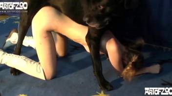 Incredibly busty babe gets her pierced pussy fucked by a dog