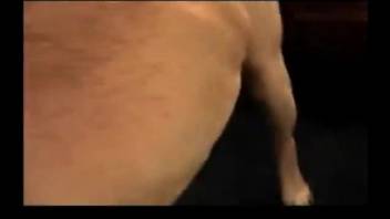 Amateur explicit video featuring a nude brown-haired woman in doggy-style sex.