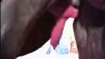 Kinky green-haired slut gets fucked by her massive black dog