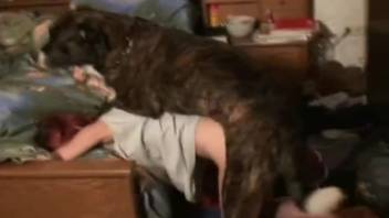 Brunette in white kimono-style outfit has sex with a dog