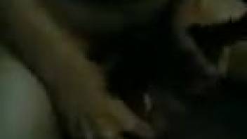 Deviant guy smoothly enters beast in homemade footage