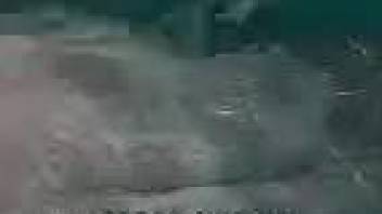 Guy films himself when deep finger fucking dolphin