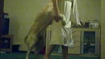 Masked MILF and Golden Retriever try to make love on floor
