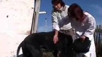 Mistress helps dog to fuck veterinarian who came to cure him