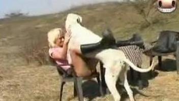 Blonde wife enjoys the dog for zoophilia foreplay