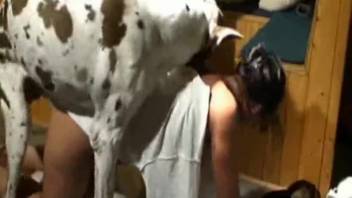 Spotted dog banging a dark-haired girl's snug little pussy
