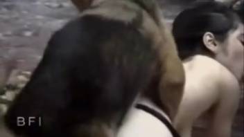 Skilled canine bangs a slim dark-haired lady in ebony nylons