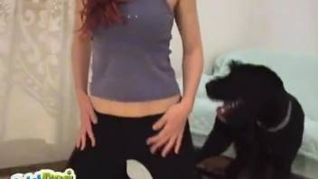 Masked redhead zoofil and black dog in amateur oral bestiality