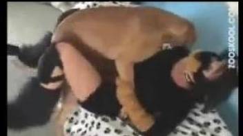 Brunette in half-assed fursuit gets fucked by a hung doggo