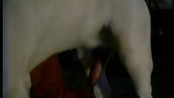 Alluring babe with a massive ass gets ravaged by a well-endowed canine