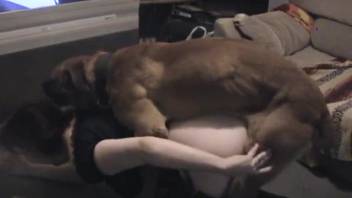 Brunette MILF in leather trousers screwing a brown dog