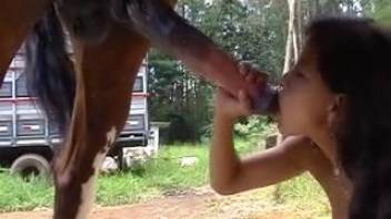 Homemade bestiality video with horses outdoors at the zoo XXX featuring a girl who sucks dick