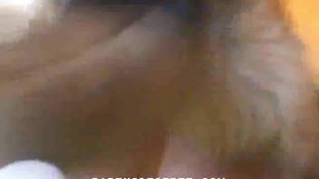 Homemade canine copulation in zoo animal sex clips on webcam with a teenager