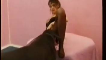 Brunette in stockings screws a large black dog
