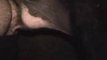 Zoophilic woman heads to the barn and relishes incredible intercourse with a pig