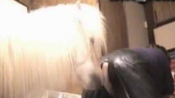 Curly-haired mommy destroyed by a very hung horse
