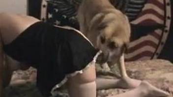 Chubby mature stays on knees and lets hounds drill her in doggy