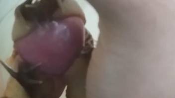 Dude lets sexy snails slither all over his cock