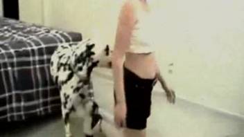Spotted dog pounding a dark-haired girl's snug pussy live on webcam