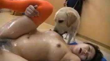 Hot Asian babe being group-violated by a pack of canines