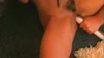 Cropped-hair babe sucks a serpent and extra