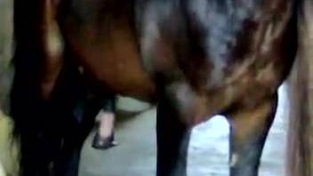 Lustful stud pounding a filly's snug rosy slit