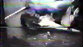 Vintage clips of intense bestiality encounters outdoors