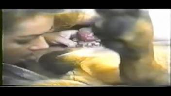 Sexy ladies yelling while canines thrust into them vigorously and thoroughly