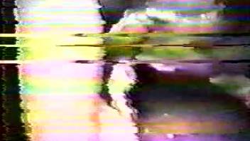 Uncommon vintage animal sex tape from the VHS period