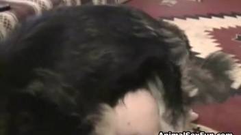 Curvy mature woman costumes as a student to have sex with a canine