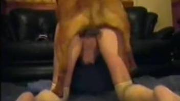 Dog fucks woman and makes her reach orgasm